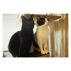 「あなご元気だ！」サムネイル3