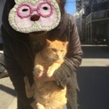 2匹同時に。