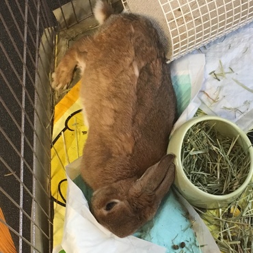 息してないのかと思うくらいくつろいでらっしゃる笑笑