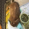 息してないのかと思うくらいくつろいでらっしゃる笑笑