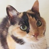 パインポン