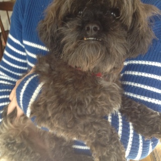 決定しました！