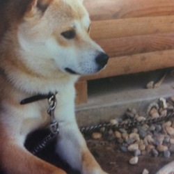 銀太の誕生日♥