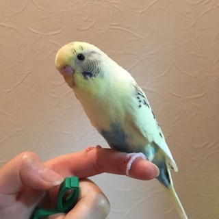 ご応募して下さった皆様本当にありがとうございました