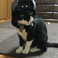 すず