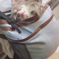 もなか