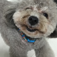 コロン