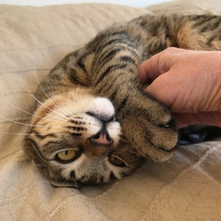 穏やかな性格のイチロー君
