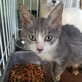 ありがとうございました