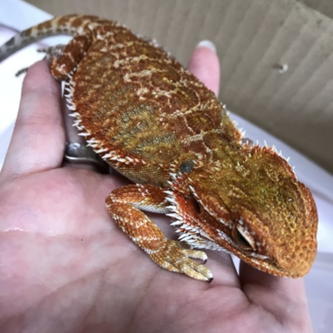 yumar1717のカバー写真