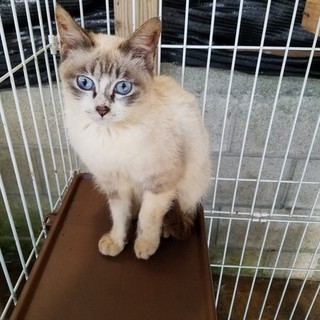 ありがとうございました