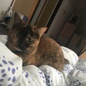 里親さんになってください！