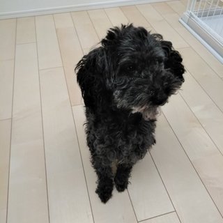 人が大好きな女の子です！