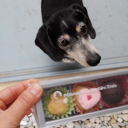 「バレンタインデー」サムネイル2