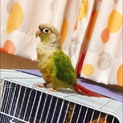 交渉中につき一度募集を終了します。