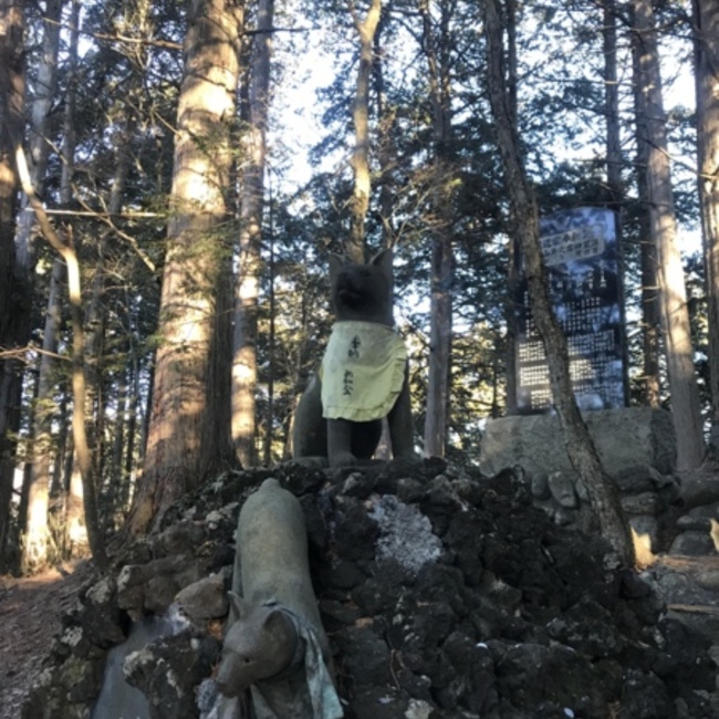 かっつんNのカバー写真