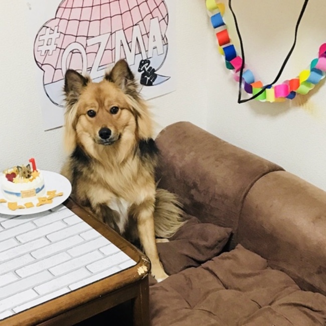 おずま0213のカバー写真