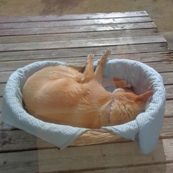 今日は良い天気でぽかぽかでした！