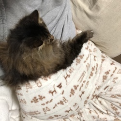 はじめまして