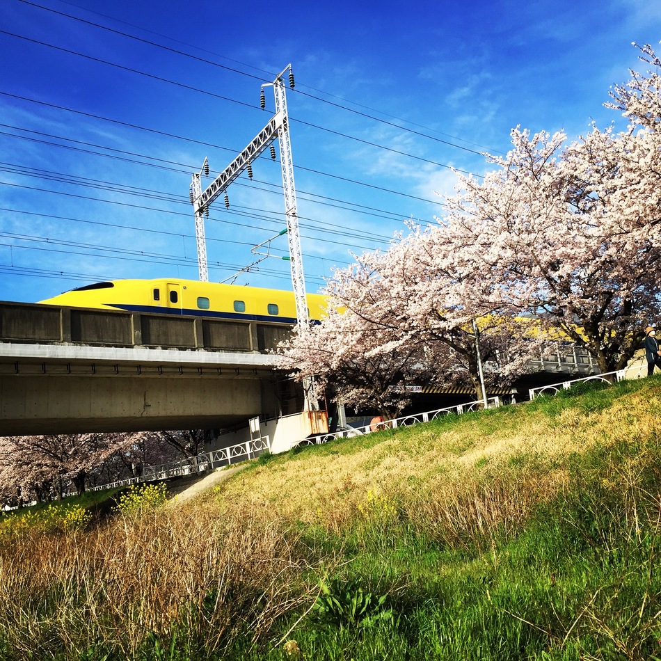 たまきのカバー写真
