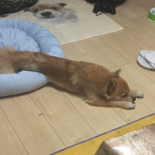 K0331のカバー写真