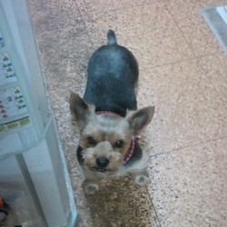 はじめまして！動物病院も色々ですね…