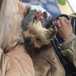 「はじめまして！動物病院も色々ですね…」サムネイル3