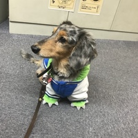 シルバー
