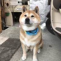 いち