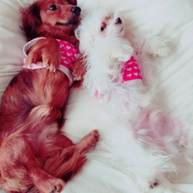 あだくりんのカバー写真