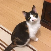 そうちゃん