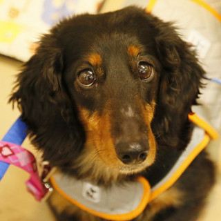 良いご縁に繋がりました。