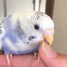 あったった