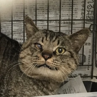 里親様が決まりました♡有難うございました！