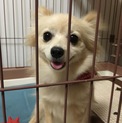 お引越しの為に