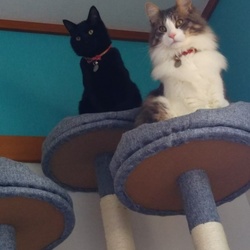 「ジジ 3ヶ月 15日」サムネイル2