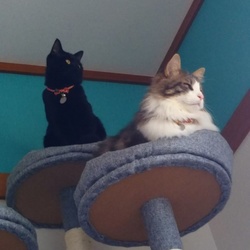 「ジジ 3ヶ月 15日」サムネイル3