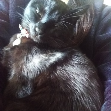 抱っこーと来たジジちゃん。ズッシリしてきました(笑)