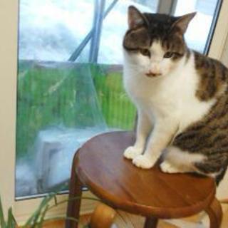 超々人懐っこいです