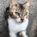 優しい家族決定です。ありがとうございました。
