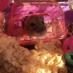 ちなみに、、、