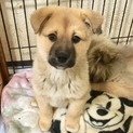 ☆素敵な家族ができました☆