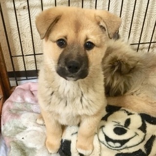 ☆素敵な家族ができました☆