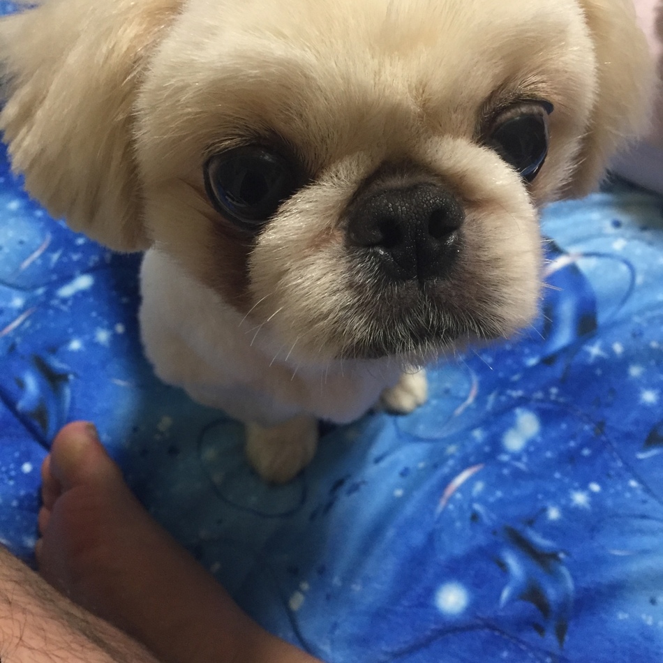 ミルキーのカバー写真