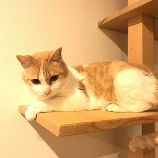 ちゃめちゃん女の子 11ヶ月