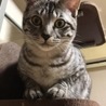 ひっしーこと美男子ひすい君 サムネイル4