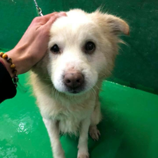 里親様決定しました✨✨