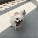 よろしくお願いします☺︎