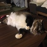 の写真