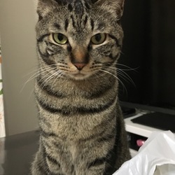 「まー様と呼んでしまう。。。」サムネイル1